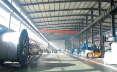 什么是護套線？